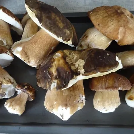 Relais De La Brande B&B Saint-Gourson