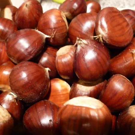 B&B Relais De La Brande