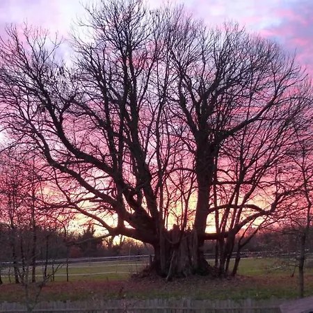 Relais De La Brande B&B