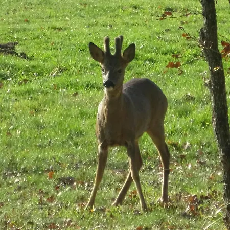 Relais De La Brande B&B 3*